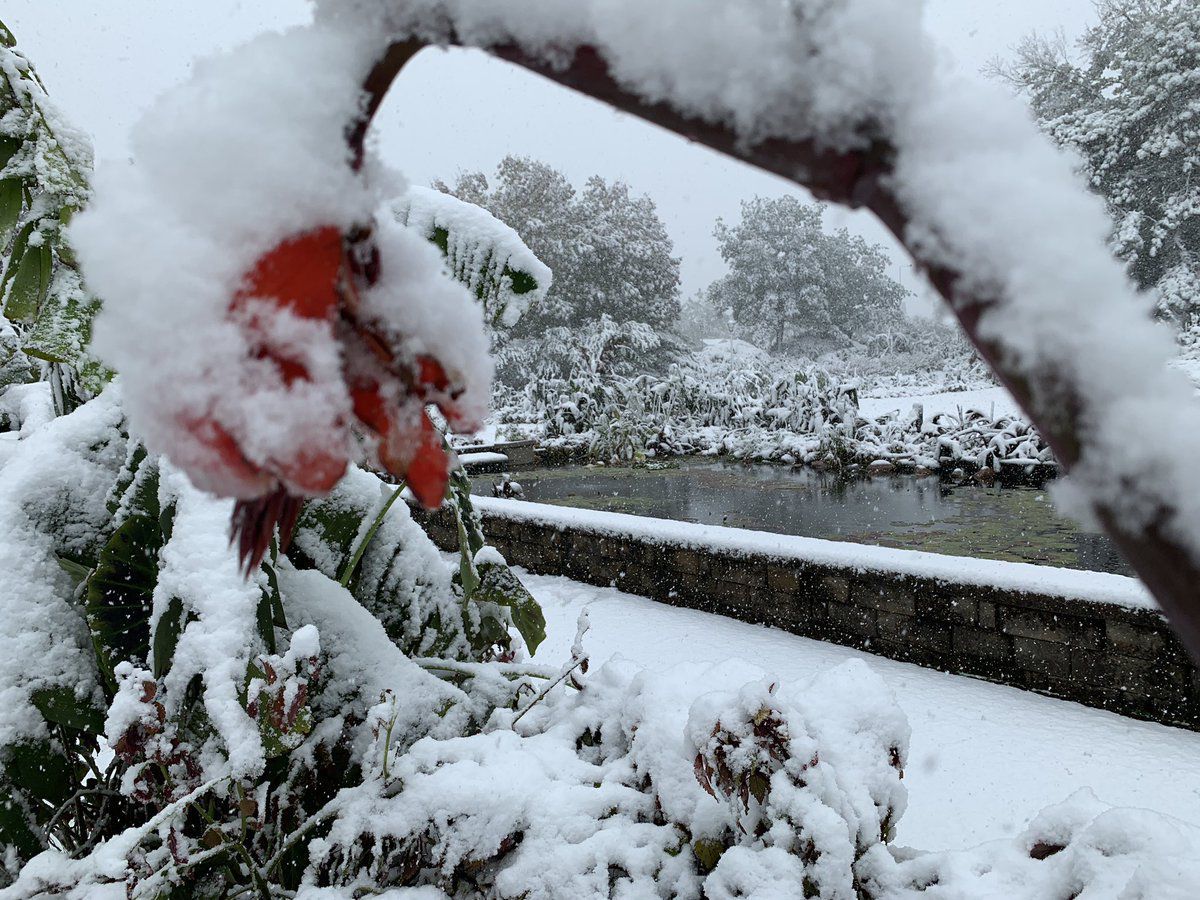 Sunken Gardens